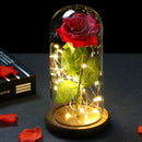 2022 LED Enchanted Galaxy Rose Eternal 24K Gold Foil Flower With Fairy String Lights In Dome For Christmas Valentine's Day Gift Paneshopping.com 001 