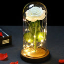 2022 LED Enchanted Galaxy Rose Eternal 24K Gold Foil Flower With Fairy String Lights In Dome For Christmas Valentine's Day Gift Paneshopping.com 002 