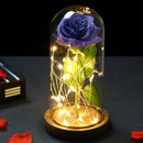 2022 LED Enchanted Galaxy Rose Eternal 24K Gold Foil Flower With Fairy String Lights In Dome For Christmas Valentine's Day Gift Paneshopping.com 003 