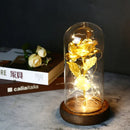 2022 LED Enchanted Galaxy Rose Eternal 24K Gold Foil Flower With Fairy String Lights In Dome For Christmas Valentine's Day Gift Paneshopping.com 005 