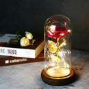 2022 LED Enchanted Galaxy Rose Eternal 24K Gold Foil Flower With Fairy String Lights In Dome For Christmas Valentine's Day Gift Paneshopping.com 006 