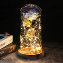 2022 LED Enchanted Galaxy Rose Eternal 24K Gold Foil Flower With Fairy String Lights In Dome For Christmas Valentine's Day Gift Paneshopping.com 007 