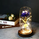 2022 LED Enchanted Galaxy Rose Eternal 24K Gold Foil Flower With Fairy String Lights In Dome For Christmas Valentine's Day Gift Paneshopping.com 008 