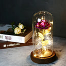 2022 LED Enchanted Galaxy Rose Eternal 24K Gold Foil Flower With Fairy String Lights In Dome For Christmas Valentine's Day Gift Paneshopping.com 009 