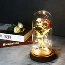 2022 LED Enchanted Galaxy Rose Eternal 24K Gold Foil Flower With Fairy String Lights In Dome For Christmas Valentine's Day Gift Paneshopping.com 010 