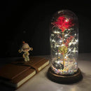 2022 LED Enchanted Galaxy Rose Eternal 24K Gold Foil Flower With Fairy String Lights In Dome For Christmas Valentine's Day Gift Paneshopping.com 012 