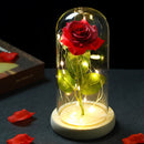 2022 LED Enchanted Galaxy Rose Eternal 24K Gold Foil Flower With Fairy String Lights In Dome For Christmas Valentine's Day Gift Paneshopping.com 017 