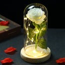 2022 LED Enchanted Galaxy Rose Eternal 24K Gold Foil Flower With Fairy String Lights In Dome For Christmas Valentine's Day Gift Paneshopping.com 018 