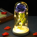 2022 LED Enchanted Galaxy Rose Eternal 24K Gold Foil Flower With Fairy String Lights In Dome For Christmas Valentine's Day Gift Paneshopping.com 019 