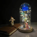 2022 LED Enchanted Galaxy Rose Eternal 24K Gold Foil Flower With Fairy String Lights In Dome For Christmas Valentine's Day Gift Paneshopping.com 021 