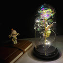 2022 LED Enchanted Galaxy Rose Eternal 24K Gold Foil Flower With Fairy String Lights In Dome For Christmas Valentine's Day Gift Paneshopping.com 026 