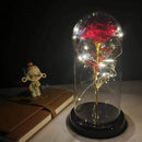 2022 LED Enchanted Galaxy Rose Eternal 24K Gold Foil Flower With Fairy String Lights In Dome For Christmas Valentine's Day Gift Paneshopping.com 028 
