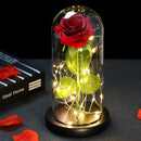 2022 LED Enchanted Galaxy Rose Eternal 24K Gold Foil Flower With Fairy String Lights In Dome For Christmas Valentine's Day Gift Paneshopping.com 029 