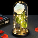 2022 LED Enchanted Galaxy Rose Eternal 24K Gold Foil Flower With Fairy String Lights In Dome For Christmas Valentine's Day Gift Paneshopping.com 030 