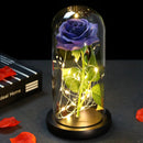 2022 LED Enchanted Galaxy Rose Eternal 24K Gold Foil Flower With Fairy String Lights In Dome For Christmas Valentine's Day Gift Paneshopping.com 032 