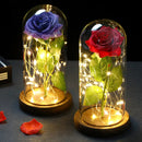 2022 LED Enchanted Galaxy Rose Eternal 24K Gold Foil Flower With Fairy String Lights In Dome For Christmas Valentine's Day Gift Paneshopping.com 