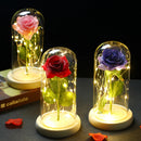 2022 LED Enchanted Galaxy Rose Eternal 24K Gold Foil Flower With Fairy String Lights In Dome For Christmas Valentine's Day Gift Paneshopping.com 