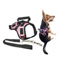 Coleira Pet Peitoral Ultra Resistente Coleira Pet Peitoral Ultra Resistente Paneshopping.com 