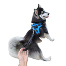 Coleira Pet Peitoral Ultra Resistente Coleira Pet Peitoral Ultra Resistente Paneshopping.com 