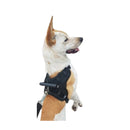 Coleira Pet Peitoral Ultra Resistente Coleira Pet Peitoral Ultra Resistente Paneshopping.com 