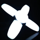 Lâmpada LED Dobrável em Forma de Pétala Lâmpada LED Dobrável em Forma de Pétala Paneshopping.com 