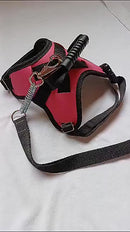 Coleira Pet Peitoral Ultra Resistente