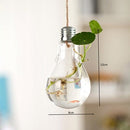Vaso de Planta em Lâmpada Hidropônico Decorativo Vaso de Planta em Lâmpada Loja 