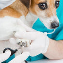 Tesoura de unha para pets. 0 NACIONA1SS 